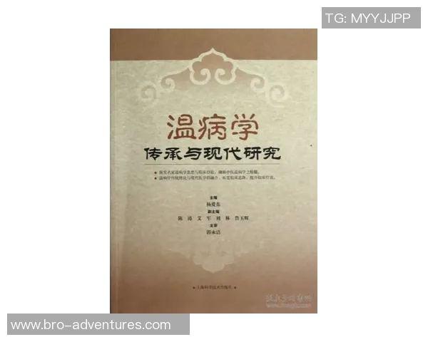 加莱诺的艺术魅力与文化传承探讨：从历史到现代的深度解读