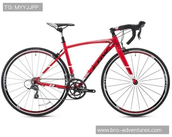 探索意大利户外品牌排行榜揭示顶尖品牌与市场趋势的全面分析