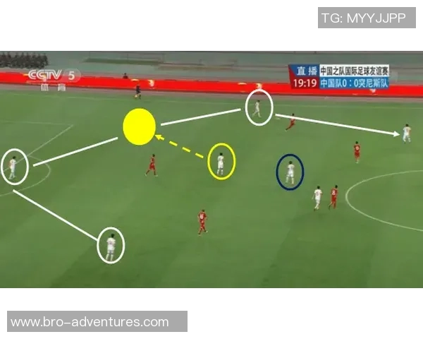 突尼斯与西班牙角球数对比分析揭示比赛战术特点