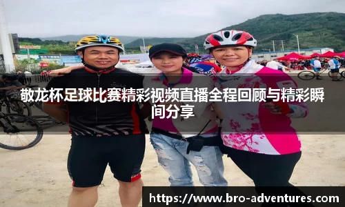 6686体育网站