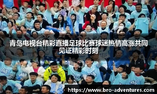 青岛电视台精彩直播足球比赛球迷热情高涨共同见证精彩时刻
